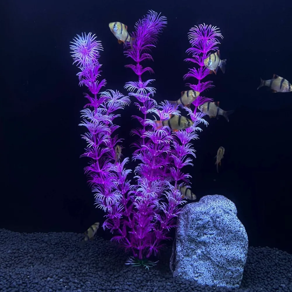 Downypaws - 5 ornements de plantes aquatiques artificielles pour aquarium de 30 cm Clearance