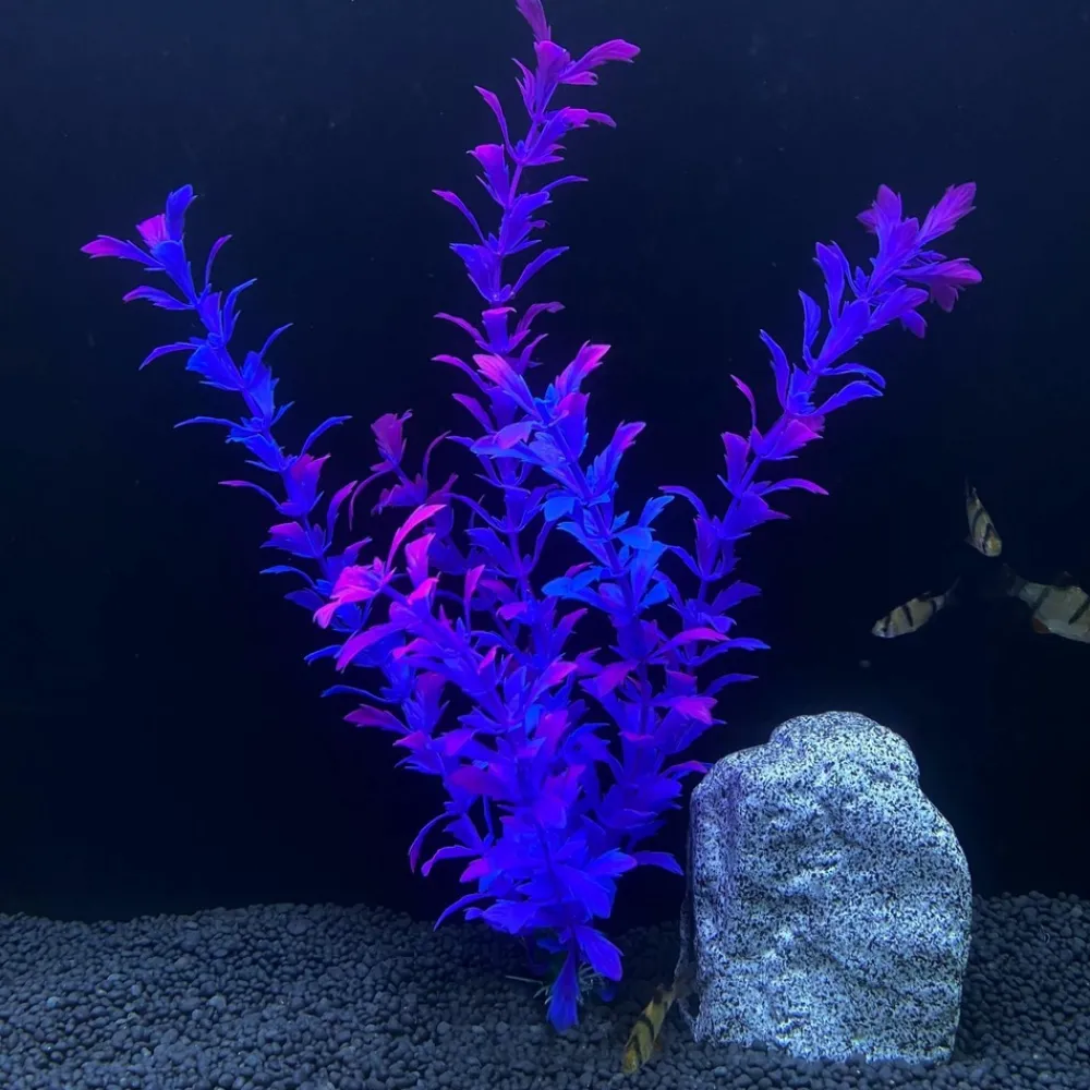 Downypaws - 5 ornements de plantes aquatiques artificielles pour aquarium de 30 cm Clearance