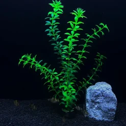 Downypaws - 5 ornements de plantes aquatiques artificielles pour aquarium de 30 cm Clearance