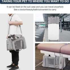 Downypaws Paniers, Transports Et Chatières | - Sac de transport pour chat, portable et pliable bleu taille s