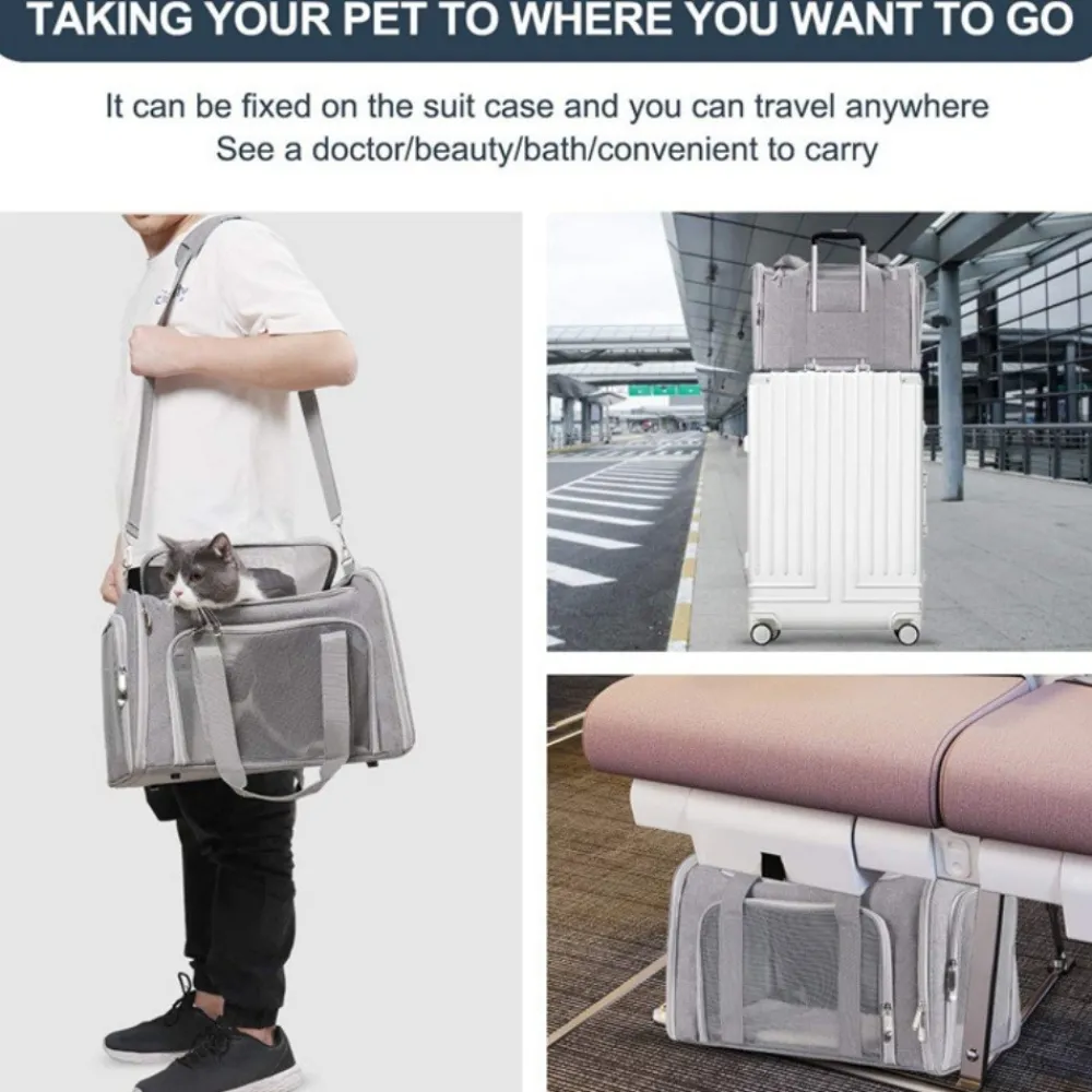 Downypaws Paniers, Transports Et Chatières | - Sac de transport pour chat, portable et pliable bleu taille s