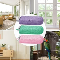 Dtopbuyage - Bâton meulage calcium pour perroquets Online