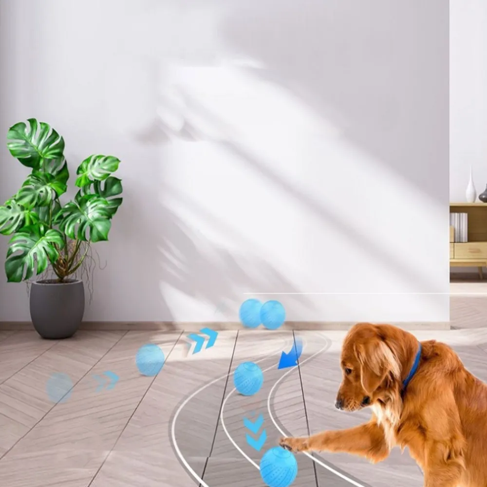 Dtopbuyage - boule interactive pour chats et chiens New