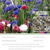 Dtopbuyage Graines De Fleurs | - - graines de bleuet 100 gélules