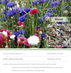 Dtopbuyage Graines De Fleurs | - - graines de bleuet 100 gélules