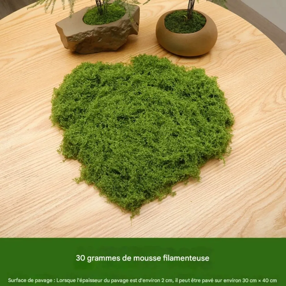 Dtopbuyage Plantes Artificielles | - Mousse artificielle de 30g*2 pour décoration de jardin