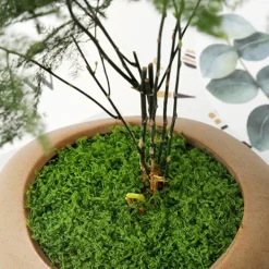 Dtopbuyage Plantes Artificielles | - Mousse artificielle de 30g*2 pour décoration de jardin