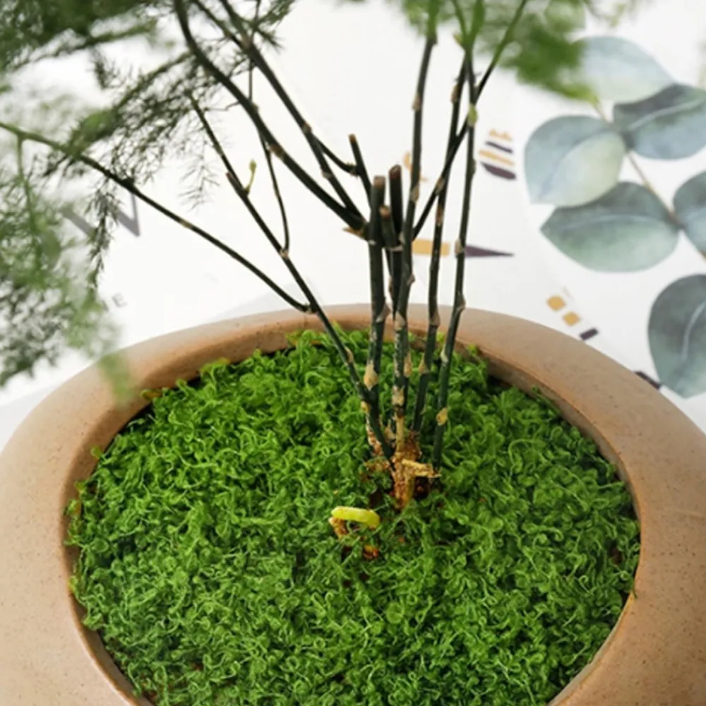 Dtopbuyage Plantes Artificielles | - Mousse artificielle de 30g*2 pour décoration de jardin