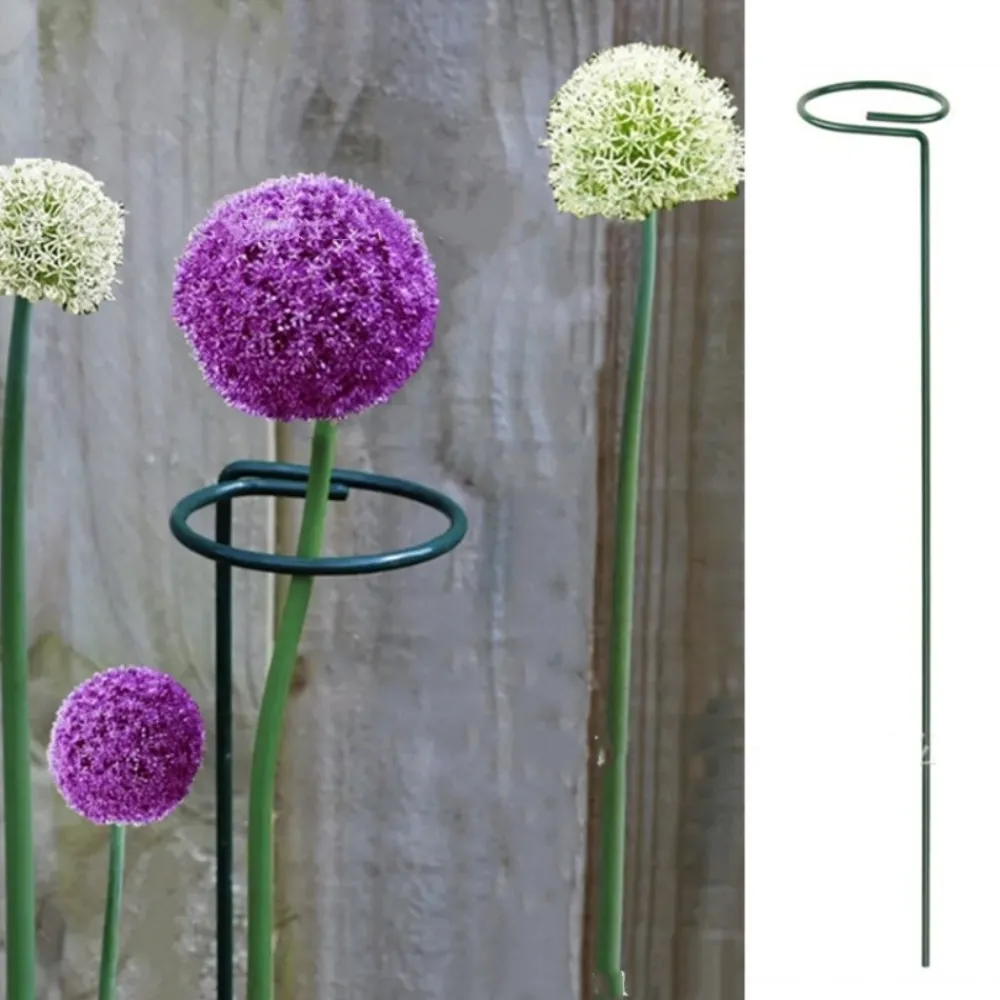 Dtopbuyage Pots, Jardinières Et Carrés Potagers | - Supports pour fleurs en fer forgé 30cm, 10 pièces
