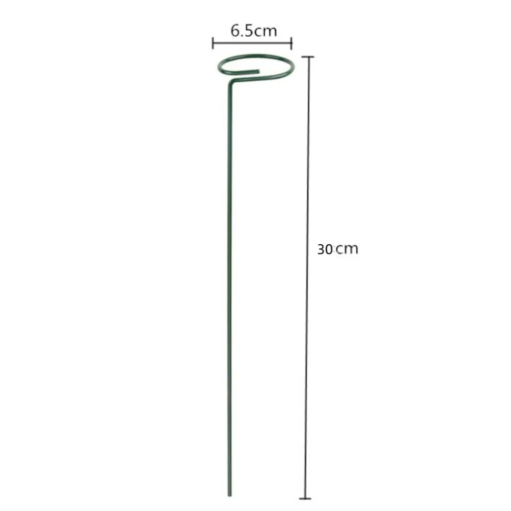 Dtopbuyage Pots, Jardinières Et Carrés Potagers | - Supports pour fleurs en fer forgé 30cm, 10 pièces