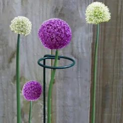 Dtopbuyage Pots, Jardinières Et Carrés Potagers | - Supports pour fleurs en fer forgé 30cm, 10 pièces
