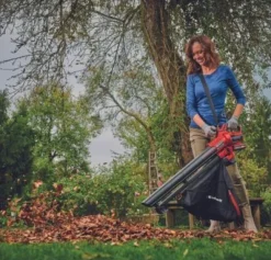 Einhell - Aspirateur-souffleur de feuilles sans fil venturro 18/210 - sans batterie Clearance