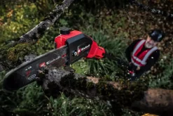 Einhell - Élagueuse sur perche gp-lc 18/20 li t bl-solo - 18v - oregon 18cm - manche télescopique- sans batterie/chargeur New