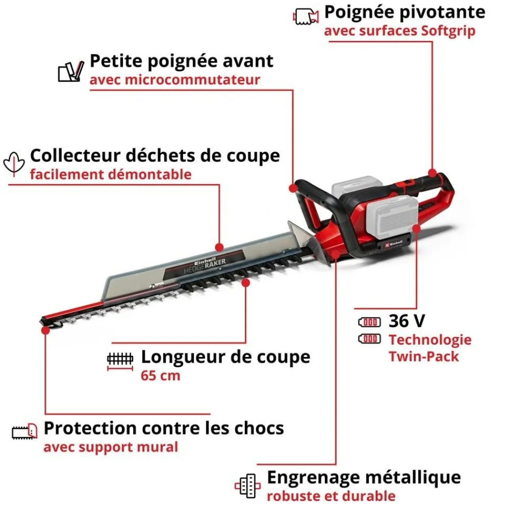 Einhell - Taille-haies sans fil ge-ch 36/65 li-solo Hot