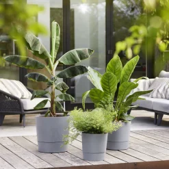 Elho Cache-Pots Et Bacs D'Intérieur|Pots Et Jardinières | - Pot Greensense Aqua Care rond ciment à resevoir d'eau - D.30cm