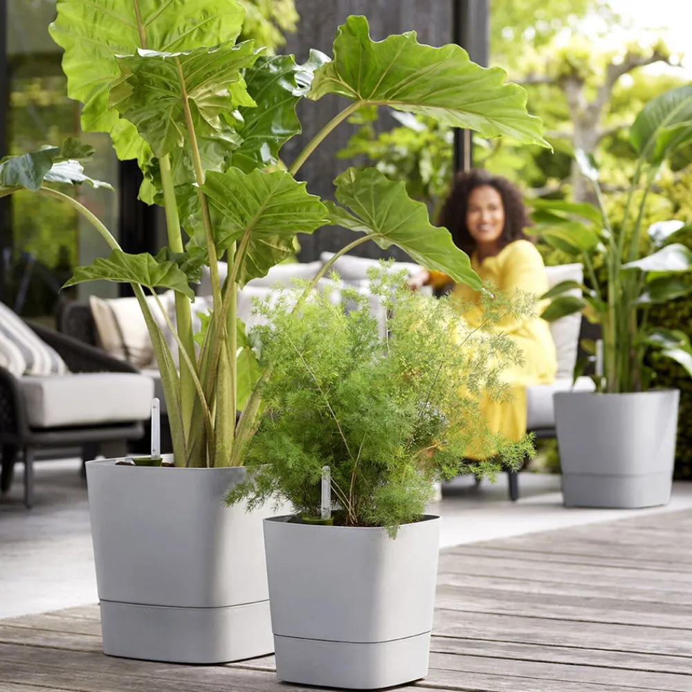 Elho - Pot Greensense Aqua Care ciment carré, à reservoir d'eau - L.30cm New