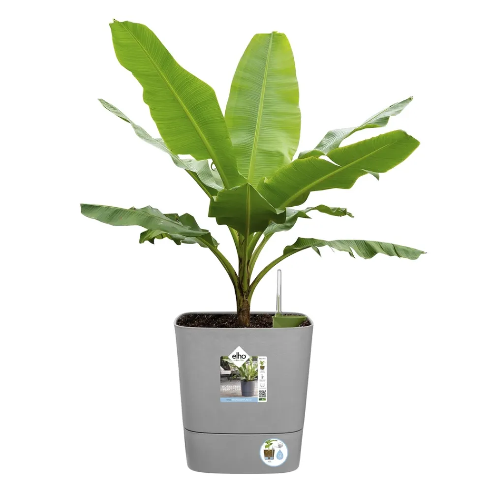 Elho - Pot Greensense Aqua Care ciment carré, à reservoir d'eau - L.30cm New