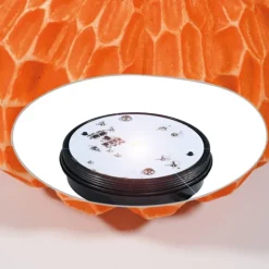Esotec - Citrouille lumineuse solaire 20 cm Discount