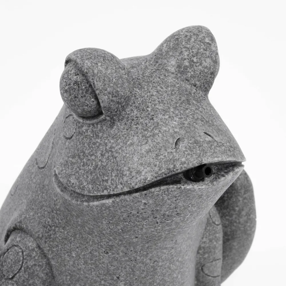Esotec Bassins Et Fontaines | - gargouille avec pompe solaire frosch figure de bassin figure de jardin 101668