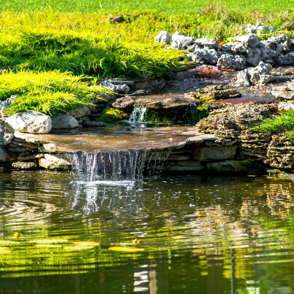 Esotec - solar cours d'eau pour étang de jardin set complet 25/1600 fontaine solaire 101018 New