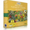 Europa Green - Mélange de fleurs pour abeilles (17m2) - gazon japonais Discount