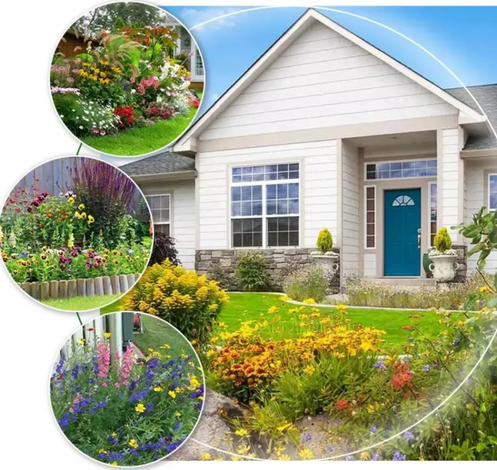 Europa Green - Mélange de fleurs pour abeilles (17m2) - gazon japonais Discount