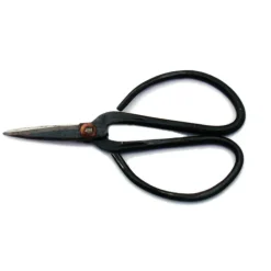 Exotenherz - Ciseaux bonsaïs - 11cm de long noir Clearance