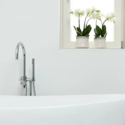 Exotenherz Plantes Fleuries | - Orchidée phalaenopsis blanche - jewel ghent - taille du pot 12cm - frais du producteur