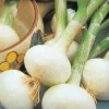 Fabre Graines Pommes De Terre, Ails, Oignons, Échalotes | - Oignon blanc extra hatif de malakoff - 5 g