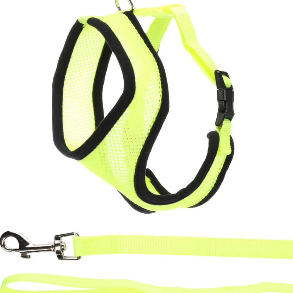 Flamingo - Harnais avec laisse jaune fluo pour grand chat Clearance