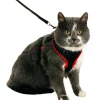 Flamingo - Harnais pour chat, couleur noir et rouge, taille m, réglable New