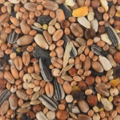 Flamingo Alimentation | - Mélange de graines toutes saisons pour oiseaux sac de 1 kg