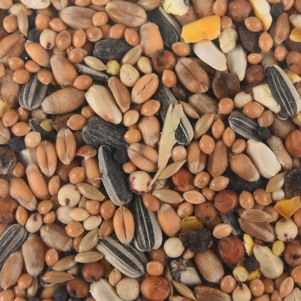 Flamingo Alimentation | - Mélange de graines toutes saisons pour oiseaux sac de 1 kg