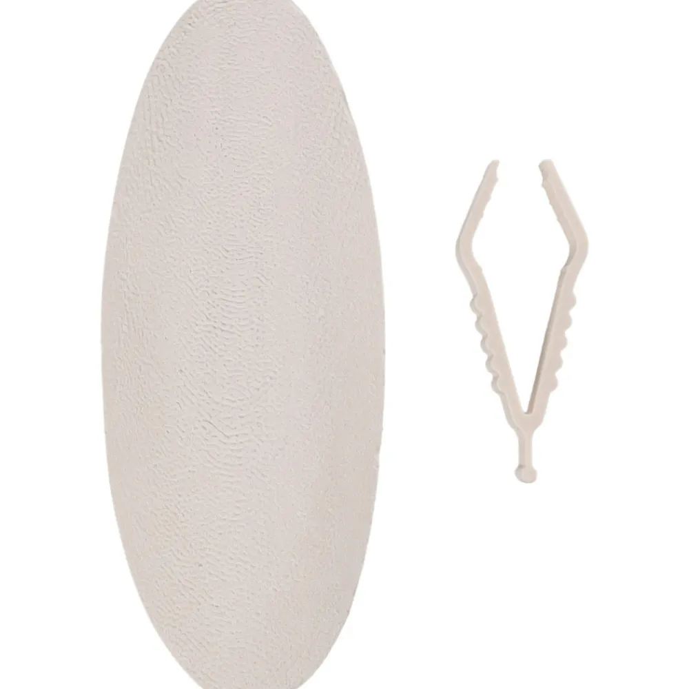 Flamingo Alimentation | - Un os de seiche blanc 15 cm avec support pour oiseaux
