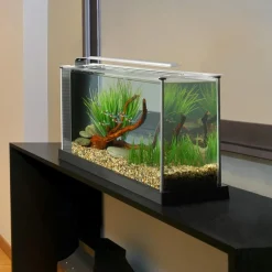 Fluval - Aquarium spec blanc 19l Sale