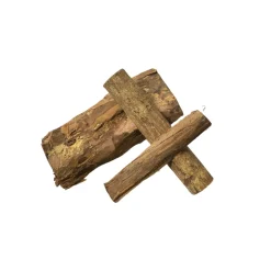 Gioiashrimp - Écorce de catappa pour crevettes et poissons Best