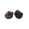 Gioiashrimp Plantes Et Décoration | - 2 gousses de lotus pour crevettes