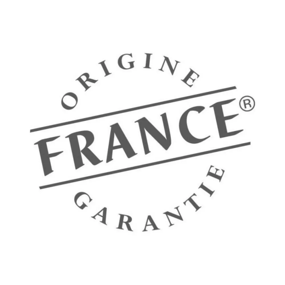 Godin - Poêle à bois fonte-petit carvin-9 kw- peint anthracite -thermostat - 366102 Discount