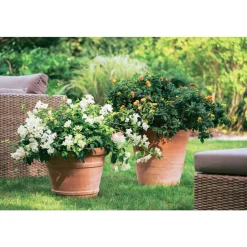 Goicoechea Cache-Pots Et Bacs D'Intérieur|Pots Et Jardinières | - Cuvier Contemporain en terre cuite Ø 39 x H. 38cm