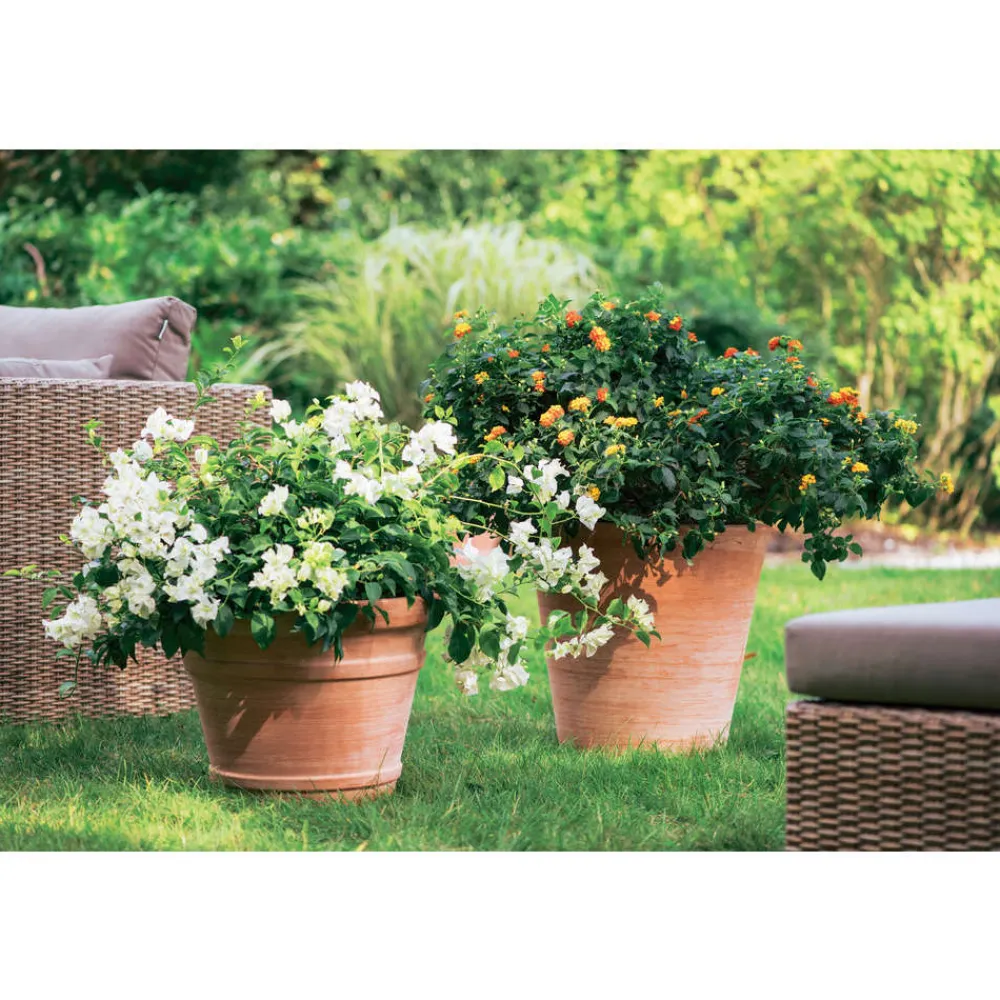 Goicoechea Cache-Pots Et Bacs D'Intérieur|Pots Et Jardinières | - Cuvier Contemporain en terre cuite Ø 39 x H. 38cm
