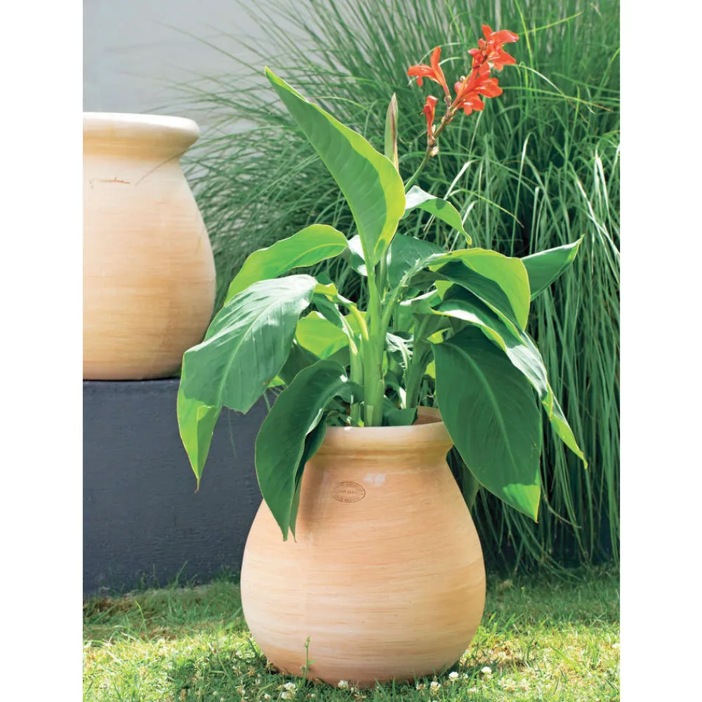 Goicoechea Pots, Jardinières Et Carrés Potagers | - Jarre Provençale en terre cuite Ø 24 x H. 35cm