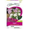 Gondian Graines De Fleurs | - Cosmo nain vega variée