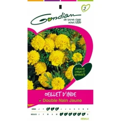 Gondian - Œillet d'inde double nain jaune Outlet