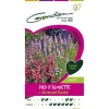 Gondian Graines De Fleurs | - Pied d'alouette annuel varié