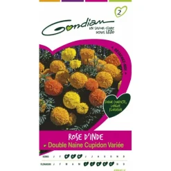 Gondian Graines De Fleurs | - Rose d'inde double naine cupidon variée