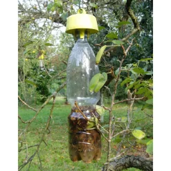 Icko apiculture Apiculture | - Piège anti-nuisible Tap trap® : par 5