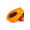 Jardintropic - Papayer adulte : carica papaya solo