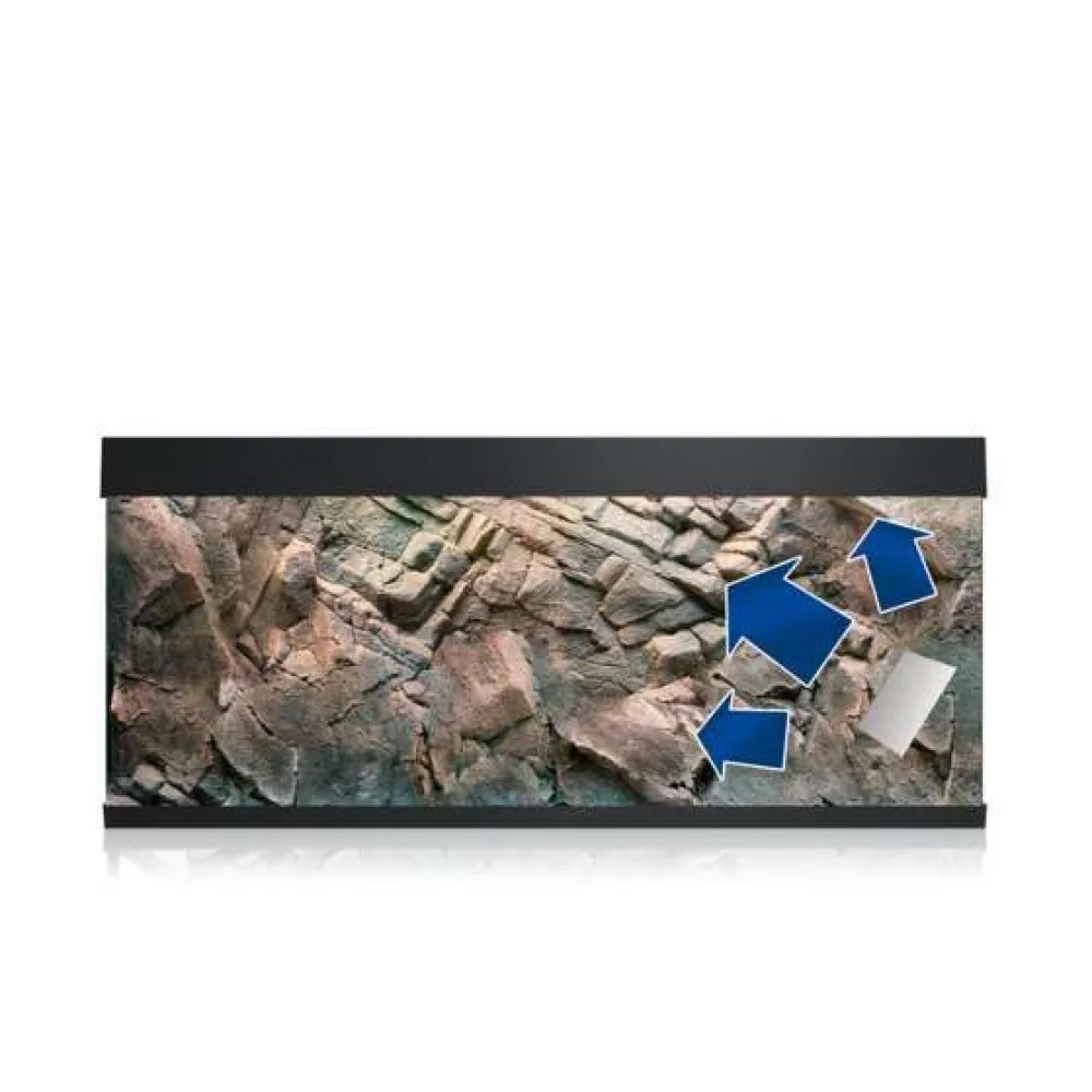 Juwel Plantes Et Décoration | - Colle Poster Fix pour poster et fond d'aquarium