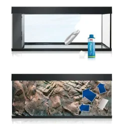 Juwel Plantes Et Décoration | - Colle Poster Fix pour poster et fond d'aquarium