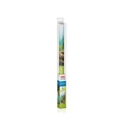 Juwel - Poster L : 100 x 50 cm Online